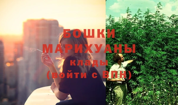 спайс Арсеньев
