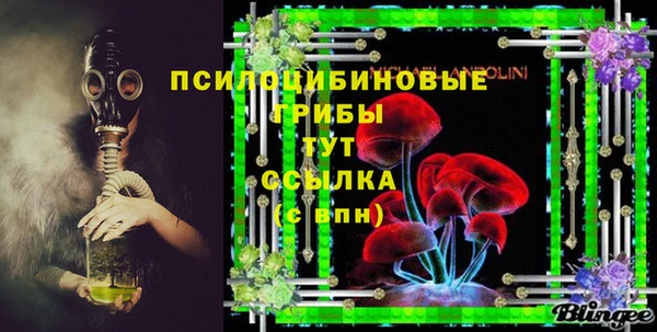 винт Аркадак