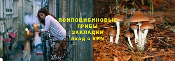 спайс Арсеньев