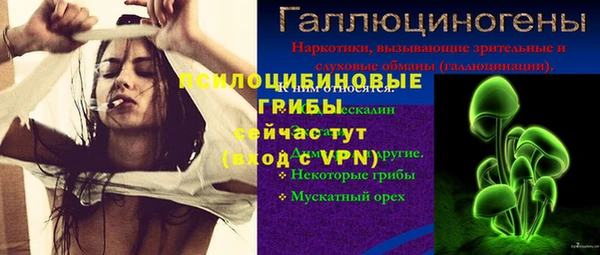спайс Арсеньев