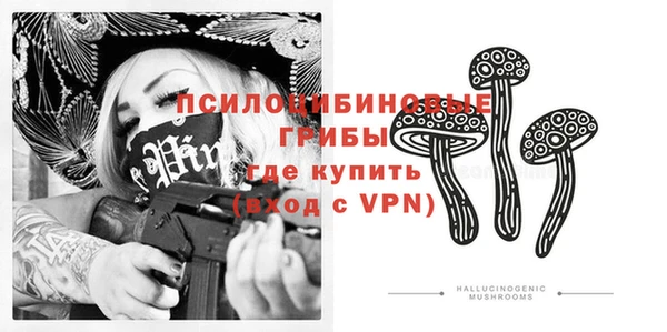 спайс Арсеньев